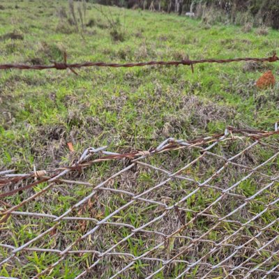 075cf8f8-6949-4abb-9d1a-6a34bd1faed7