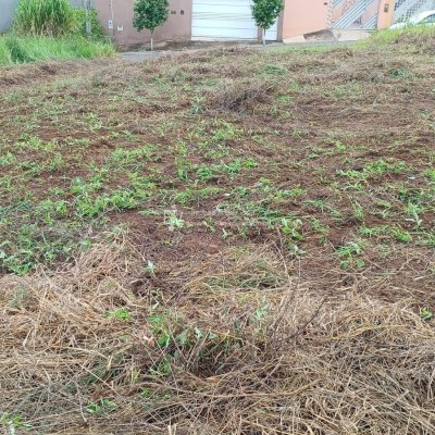 1f002500-fec4-4fe4-95e9-01bbdc5ca041